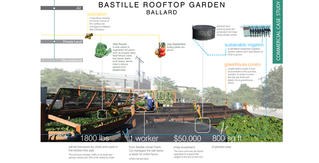 Productive Neighborhoods: A Case Study Based Exploration of Seattle Urban Agriculture Projects