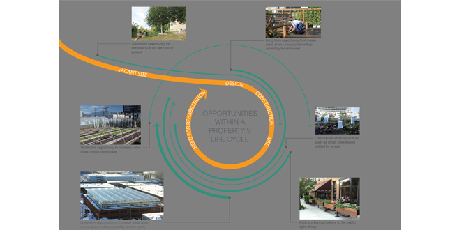 Productive Neighborhoods: A Case Study Based Exploration of Seattle Urban Agriculture Projects