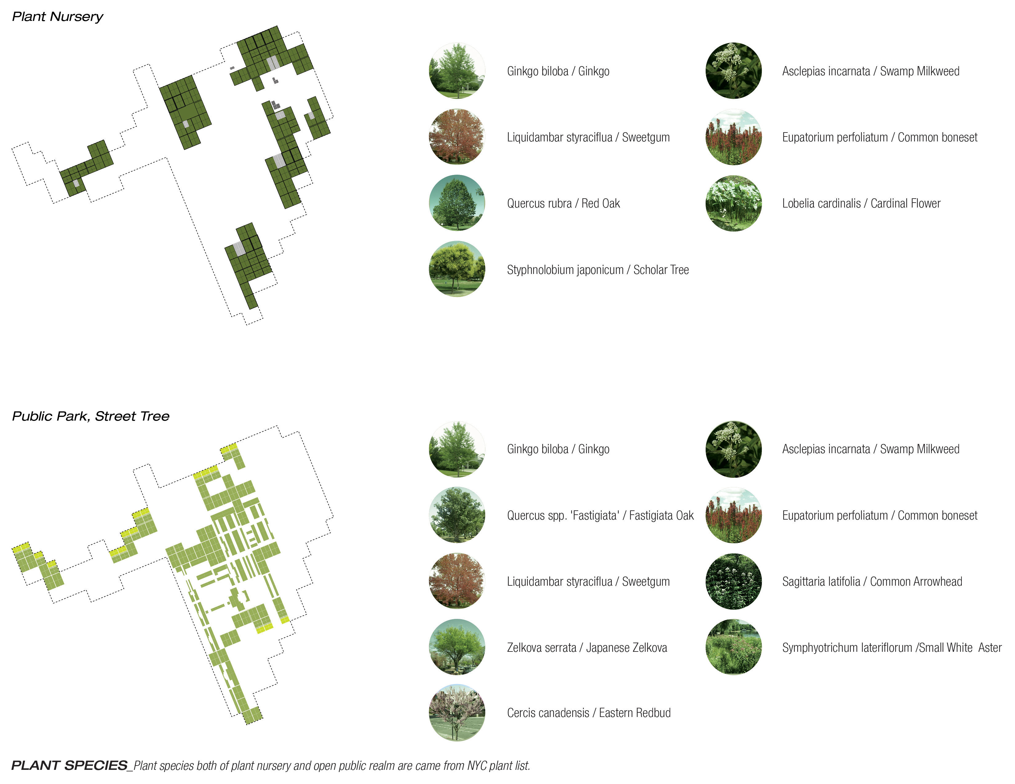 Featured image of post Landscape Architecture Plant List / That embed can&#039;t be found.