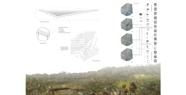 The Digital Evolution of Warfare: Protocol for Landscape Manipulation