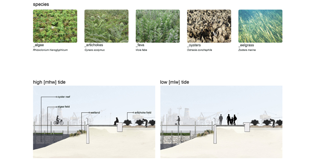 Growing Pier 68: Landscapes of Accretion
