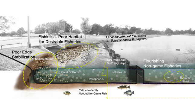 Rewilding City Park