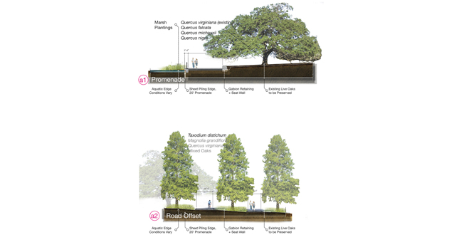 Rewilding City Park