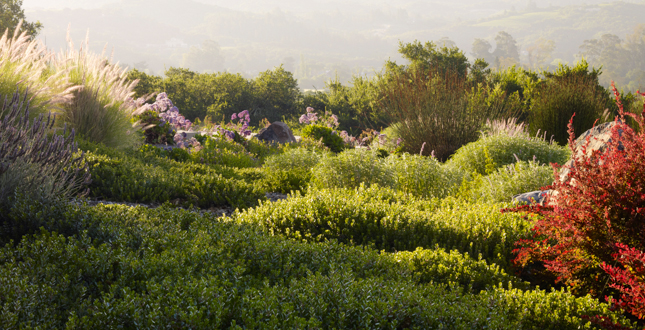 Sonoma Retreat