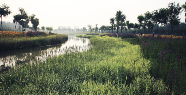 A Mother River Recovered: Qian'an Sanlihe Greenway