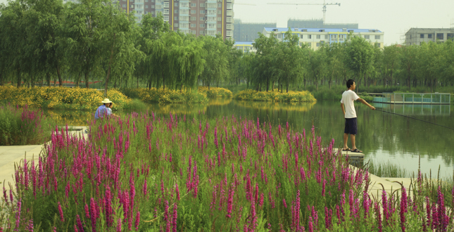 A Mother River Recovered: Qian'an Sanlihe Greenway