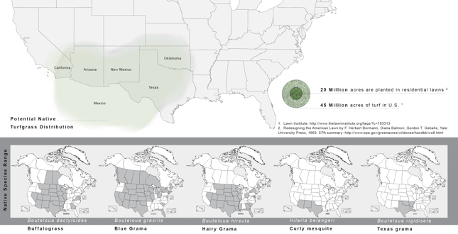 The Lawn is Dead – Long Live the Lawn: Development of Native Multi-Species Turf Grass Mixes for Regenerative Urban Landscapes
