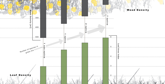 The Lawn is Dead – Long Live the Lawn: Development of Native Multi-Species Turf Grass Mixes for Regenerative Urban Landscapes
