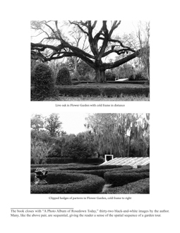 The Garden Diary of Martha Turnbull, Mistress of Rosedown Plantation