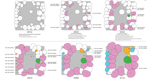 Elevated Ground: A 300 Year Vision for a 220-Year-Old Square