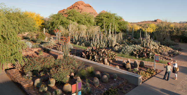 Ottosen Entry Garden, Desert Botanical Garden