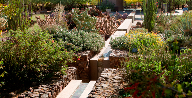 Ottosen Entry Garden, Desert Botanical Garden