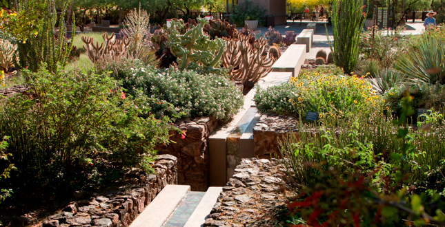 Ottosen Entry Garden, Desert Botanical Garden
