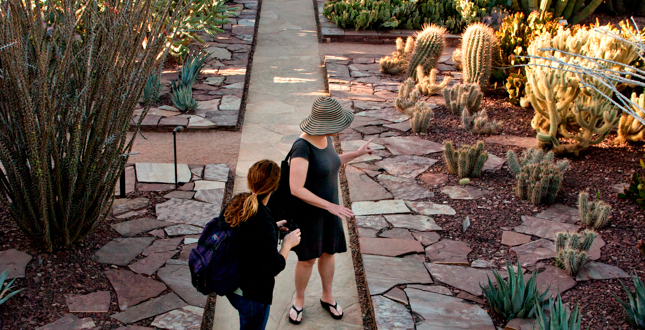 Ottosen Entry Garden, Desert Botanical Garden