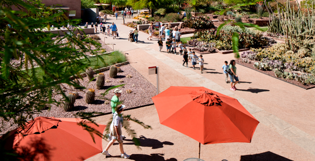 Ottosen Entry Garden, Desert Botanical Garden