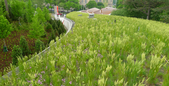 Brooklyn Botanic Garden Visitors Center Landscape