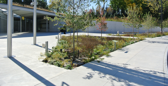 Brooklyn Botanic Garden Visitors Center Landscape