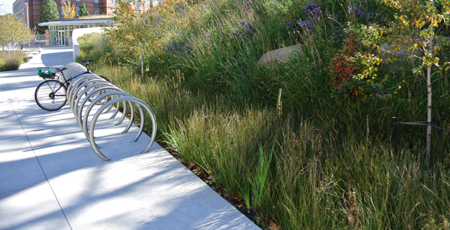 Brooklyn Botanic Garden Visitors Center Landscape