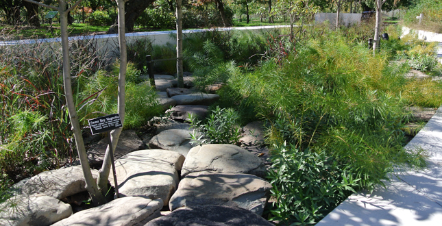 Brooklyn Botanic Garden Visitors Center Landscape