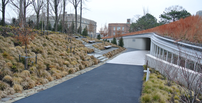 Brooklyn Botanic Garden Visitors Center Landscape