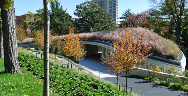 Brooklyn Botanic Garden Visitors Center Landscape