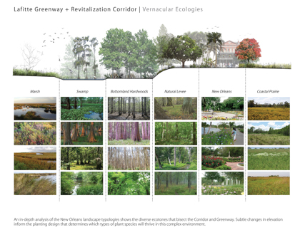 Lafitte Greenway + Revitalization Corridor | Linking New Orleans Neighborhoods