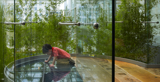 The Crown Sky Garden: Ann & Robert H. Lurie Children's Hospital of Chicago