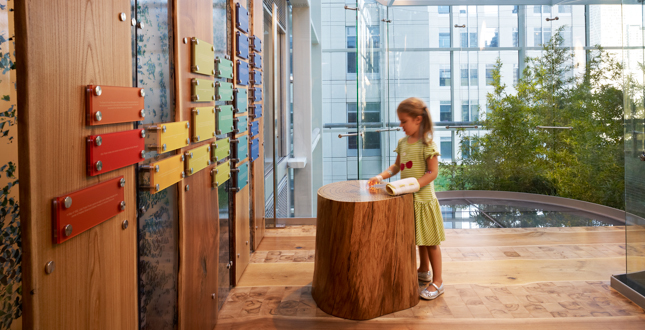 The Crown Sky Garden: Ann & Robert H. Lurie Children's Hospital of Chicago