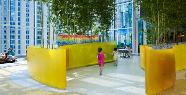 The Crown Sky Garden: Ann & Robert H. Lurie Children's Hospital of Chicago