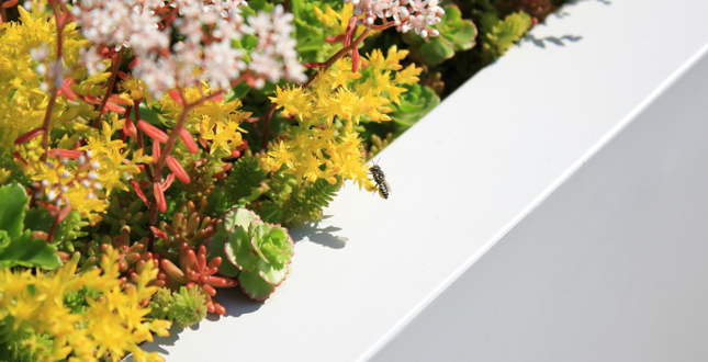 Green Roof Innovation Testing (GRIT) Laboratory