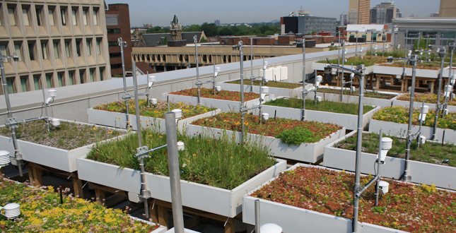 Green Roof Innovation Testing (GRIT) Laboratory