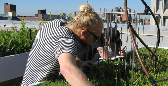 Green Roof Innovation Testing (GRIT) Laboratory