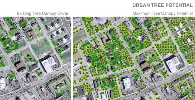 Green Infrastructure Master Plan