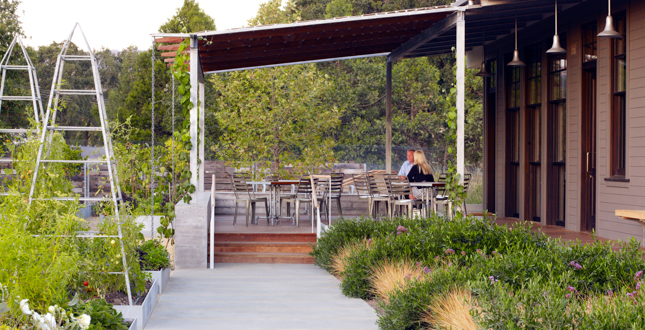 Medlock Ames Tasting Room and Alexander Valley Bar