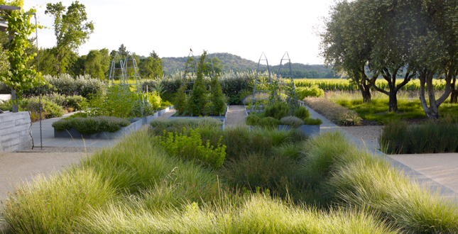 Medlock Ames Tasting Room and Alexander Valley Bar