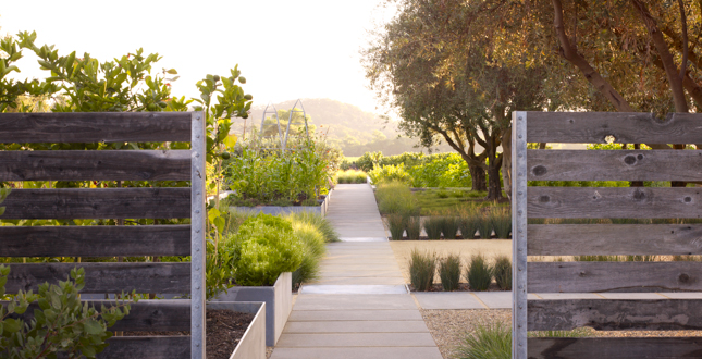 Medlock Ames Tasting Room and Alexander Valley Bar