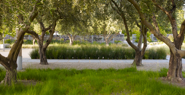 Medlock Ames Tasting Room and Alexander Valley Bar