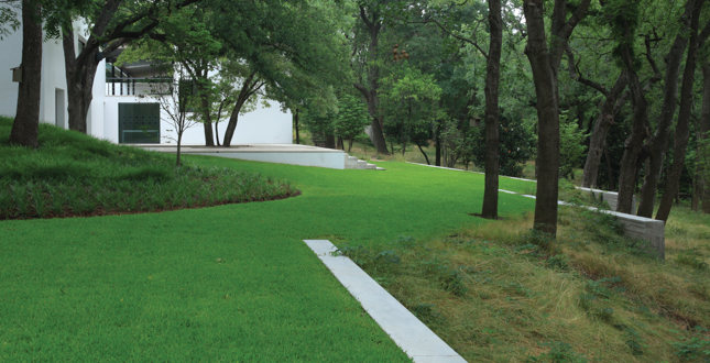 Recovered Moderism: A landscape matrix enriches a Dallas hacienda