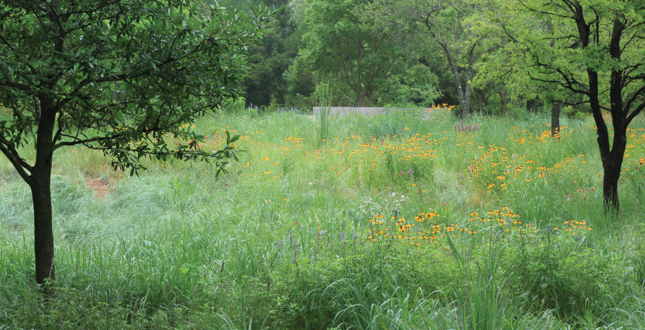 Recovered Moderism: A landscape matrix enriches a Dallas hacienda