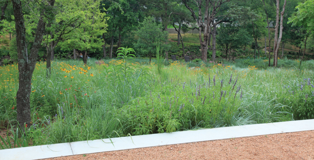 Recovered Moderism: A landscape matrix enriches a Dallas hacienda