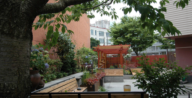 Ichi-Go Ichi-E Garden Courtyard