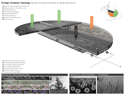 Dredge City: sediment catalysis