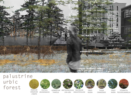 PROVIDENCE DIGS_ Designing Infrastructural Soil for Grounded Urbanism