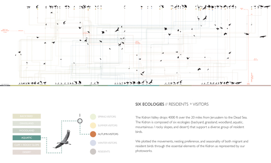 Migrating Beyond Boundaries