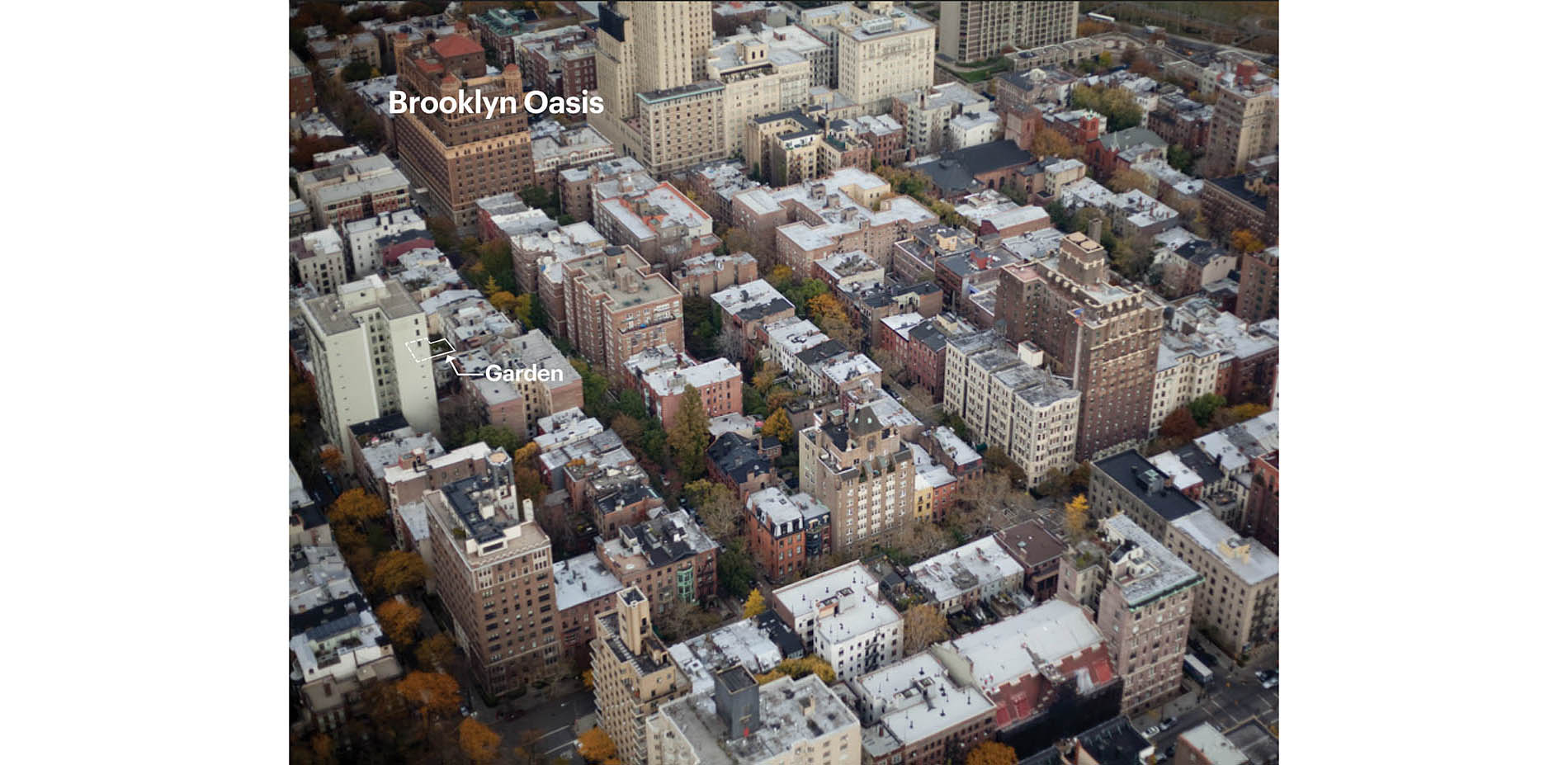 Brooklyn Oasis Garden