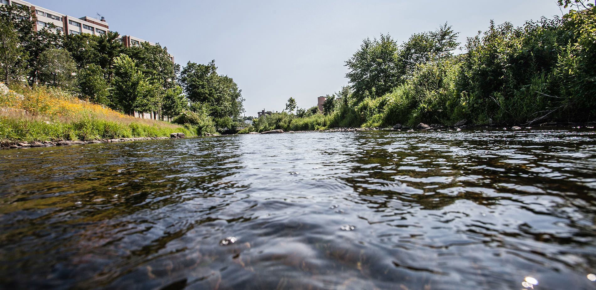 Mill River Park and Greenway 2015 ASLA Professional Awards