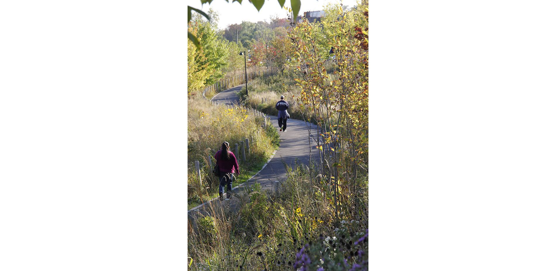 Mill River Park and Greenway 2015 ASLA Professional Awards