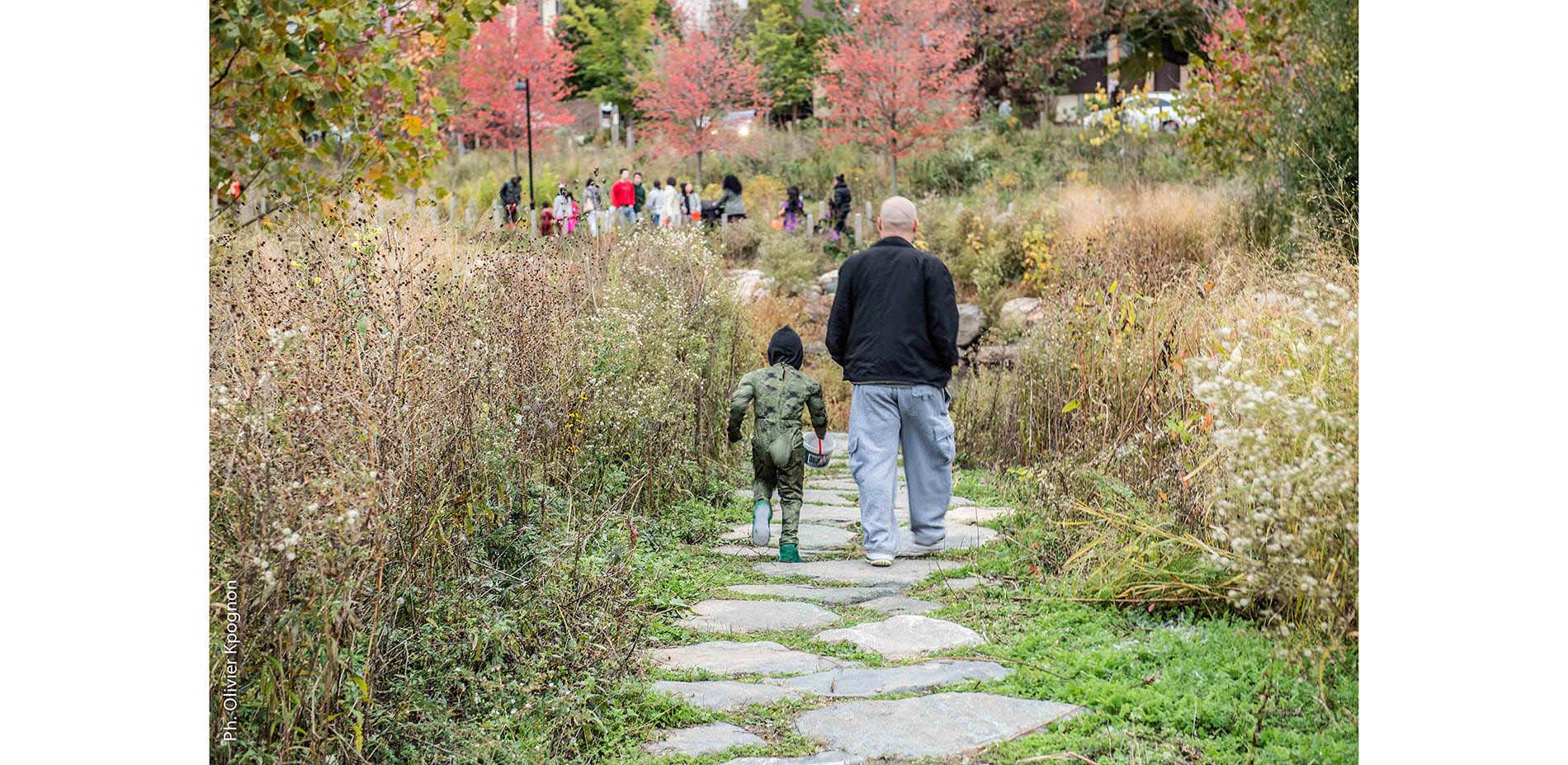 Mill River Park and Greenway 2015 ASLA Professional Awards