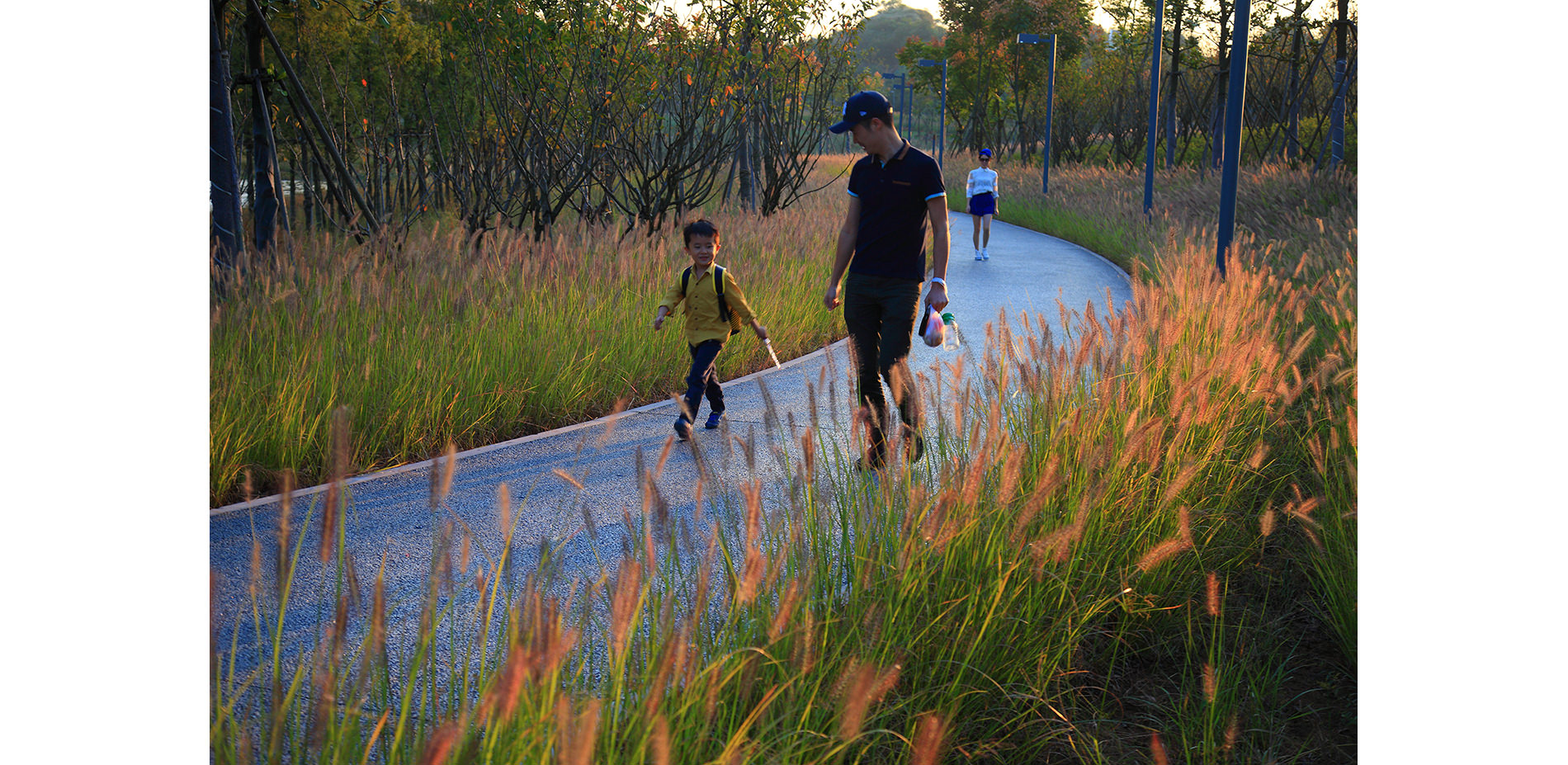 Pedestrian Path in the Greenway