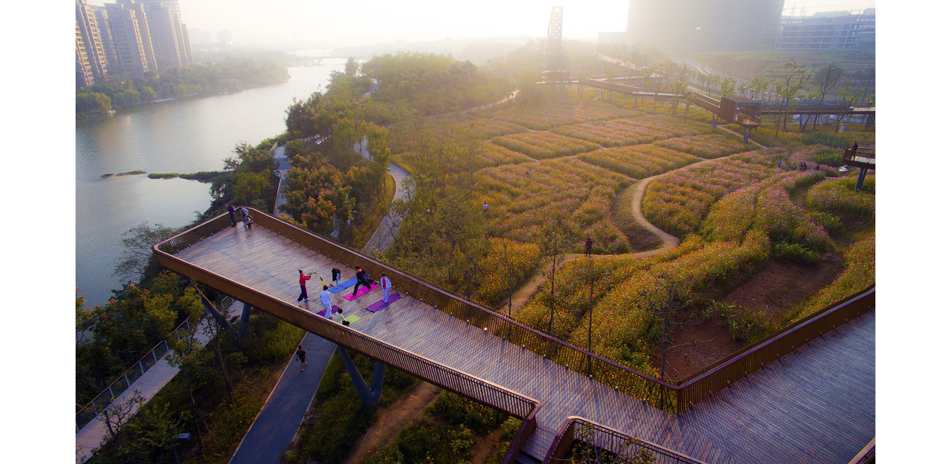 Aerial View of Skywalk and Meadow